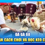 43.da ga 88 – huong dan cach choi va doc keo chuan xac 3
